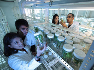 短信验证码轰炸卡盟免费